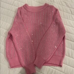 eesome Pink Sweater with Silver Accents NWT Size Large